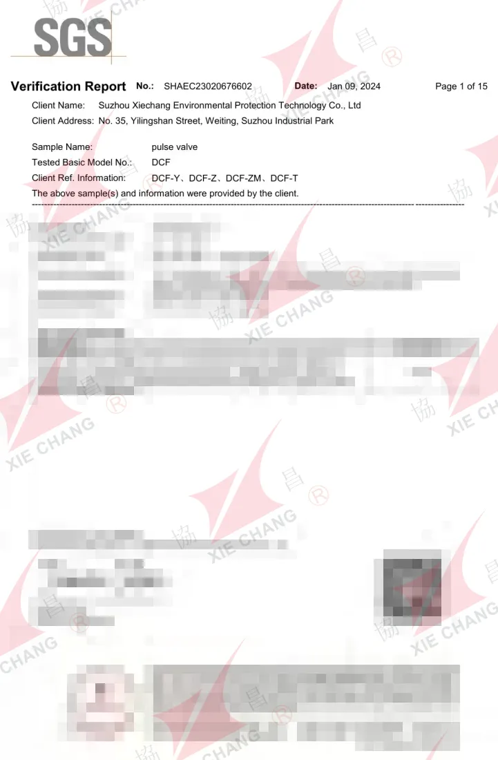 Informe de verificación RoHS de China — electroválvulas de pulso DCF